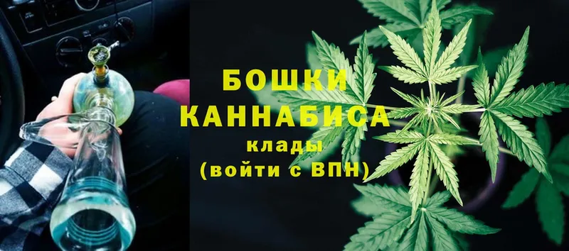 Бошки Шишки White Widow  Покачи 